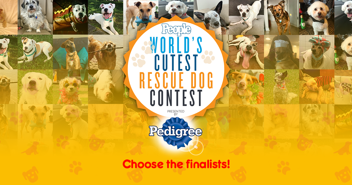 Your Dog Deserves To Win PEOPLE’s 2022 “World’s Cutest Rescue Dog Contest”