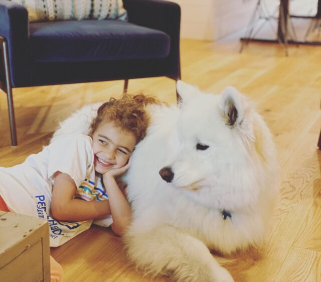 Child cuddling with Samoyed