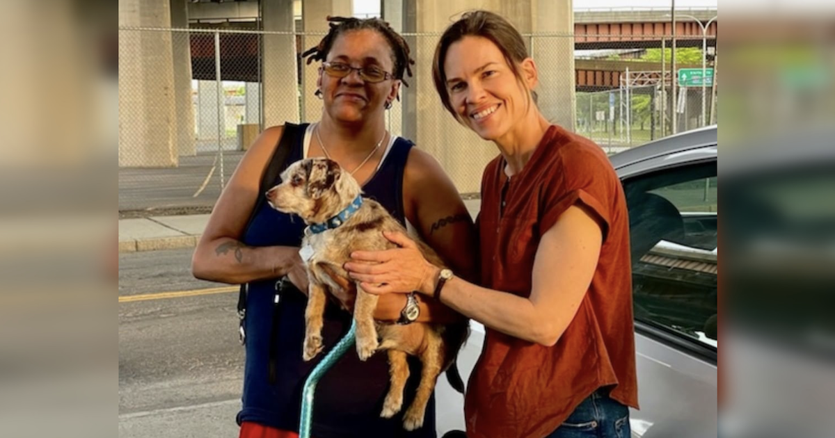 Hilary Swank finds lost dog
