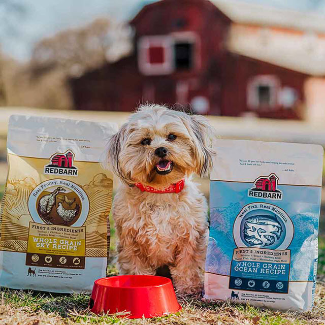 what is the best quality dog food