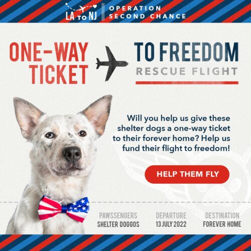 One Way Ticket To Freedom Flight - Donate Now