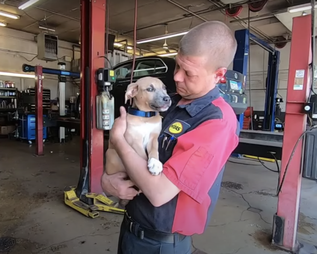 Mechanic with puppy from dumpster
