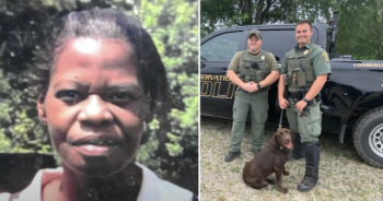 Newly graduated K9 finds woman