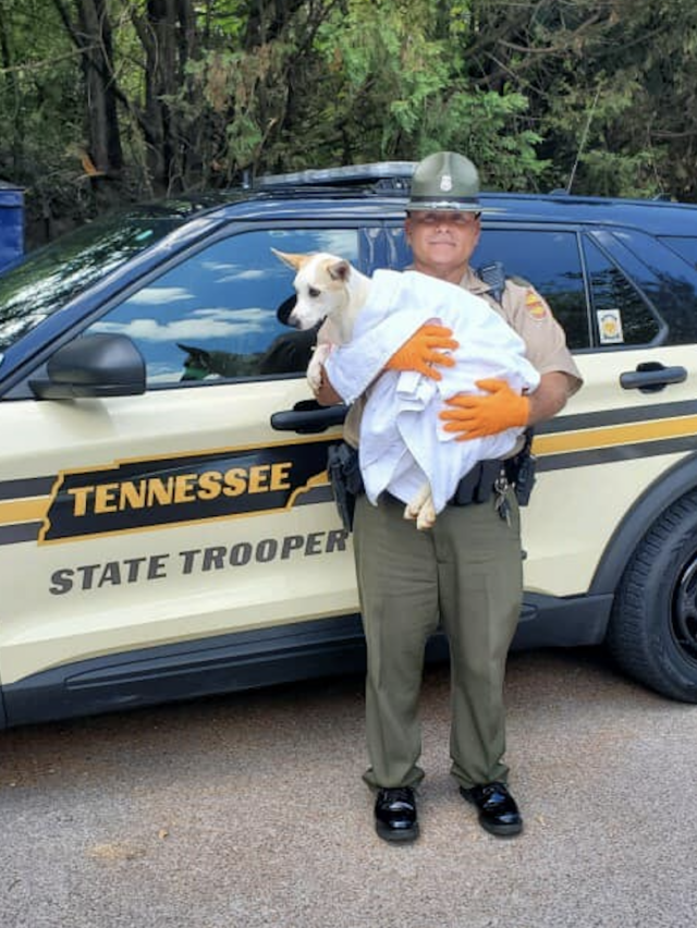 Trooper adopts rescued dog