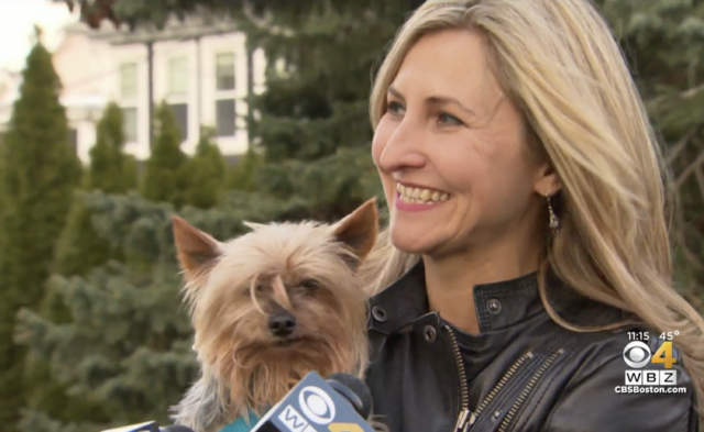 Woman gets Yorkie back