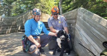 Dog Saved From Cliff
