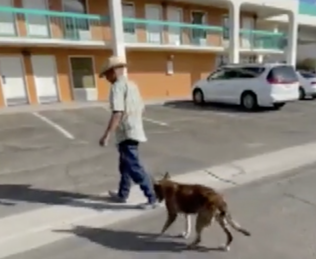 Man and dog walking to hotel