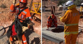 dogs rescued from mineshaft