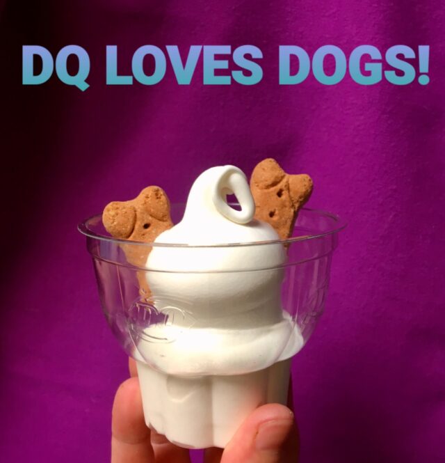 Dairy Queen Loves Dogs