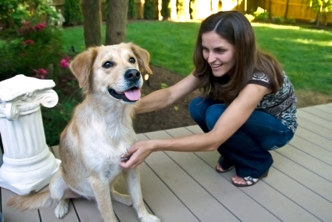 Dog happy to see owner