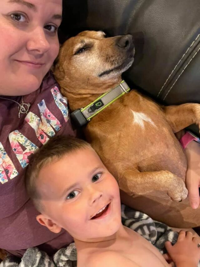 Dog snuggling with his family