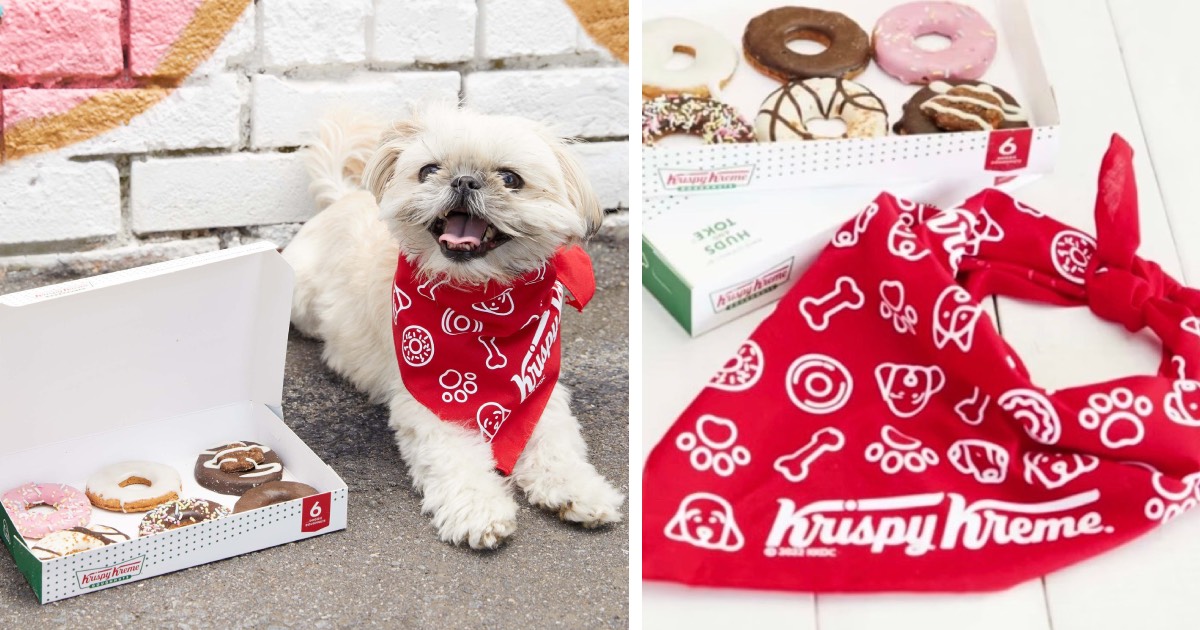 This National Dog Day, Krispy Kreme Is Offering Your Dog Something Pawesome