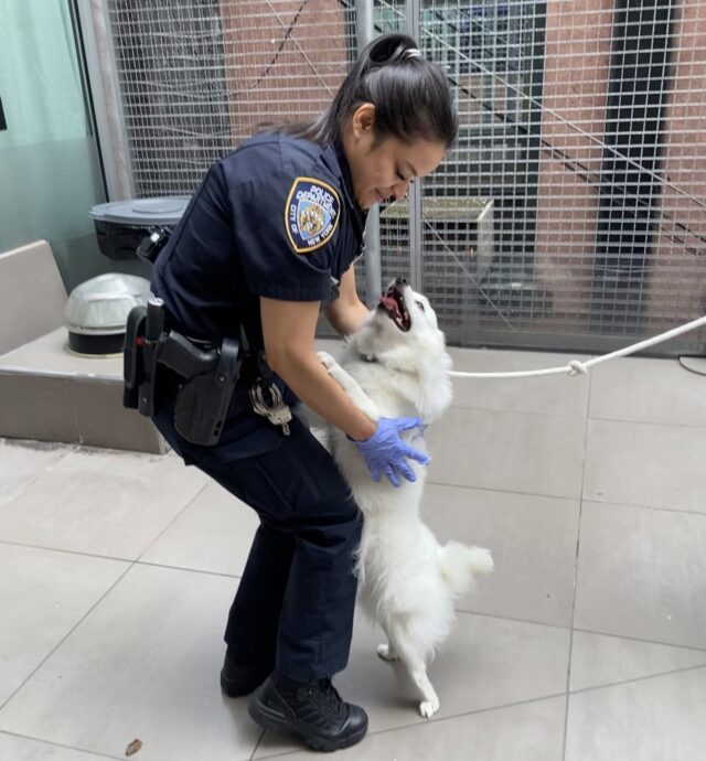 Officer hugging American Eskimo Dog