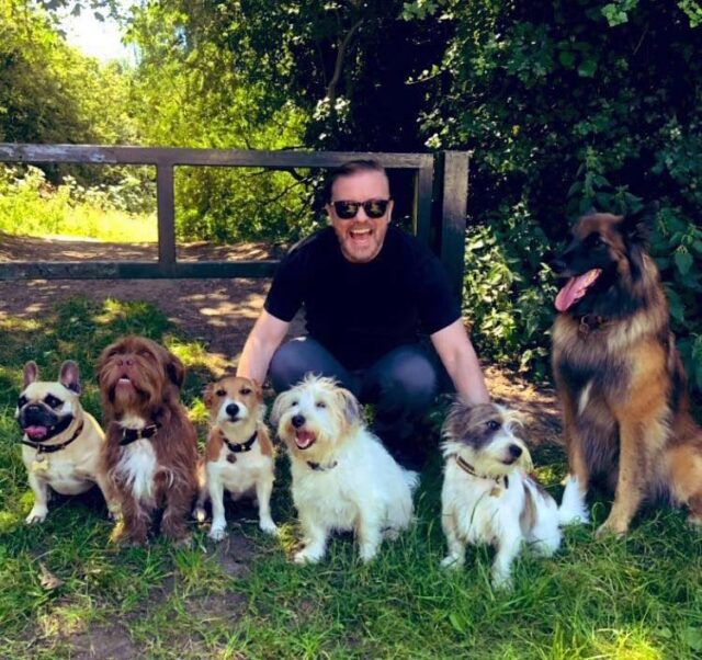 Ricky Gervais with dogs