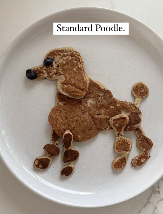 Standard Poodle pancake