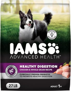 IAMS Advanced Health Dry Dog Food 