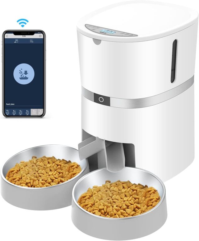 Smart dog feeder for two pets