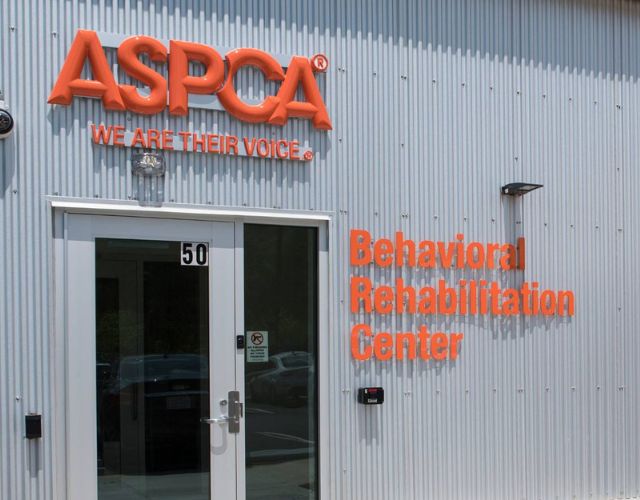 aspca rehab center