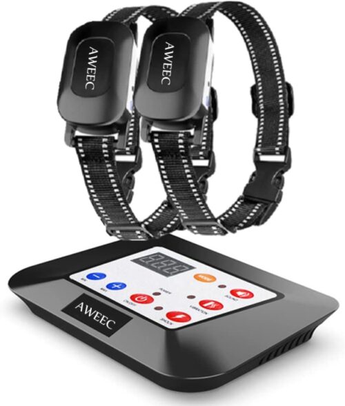 11 Best Invisible Dog Fences