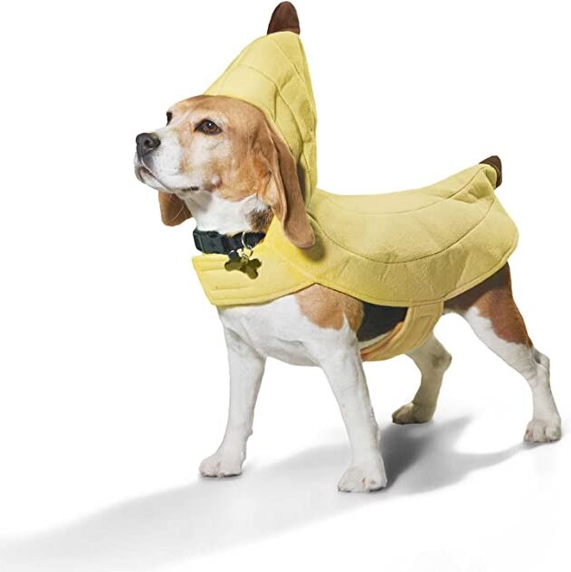 Banana dog costume
