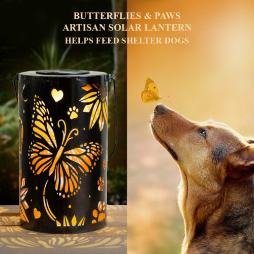 Butterflies & Paws- Artisan Shadow Solar Lantern - Deal 40% OFF!