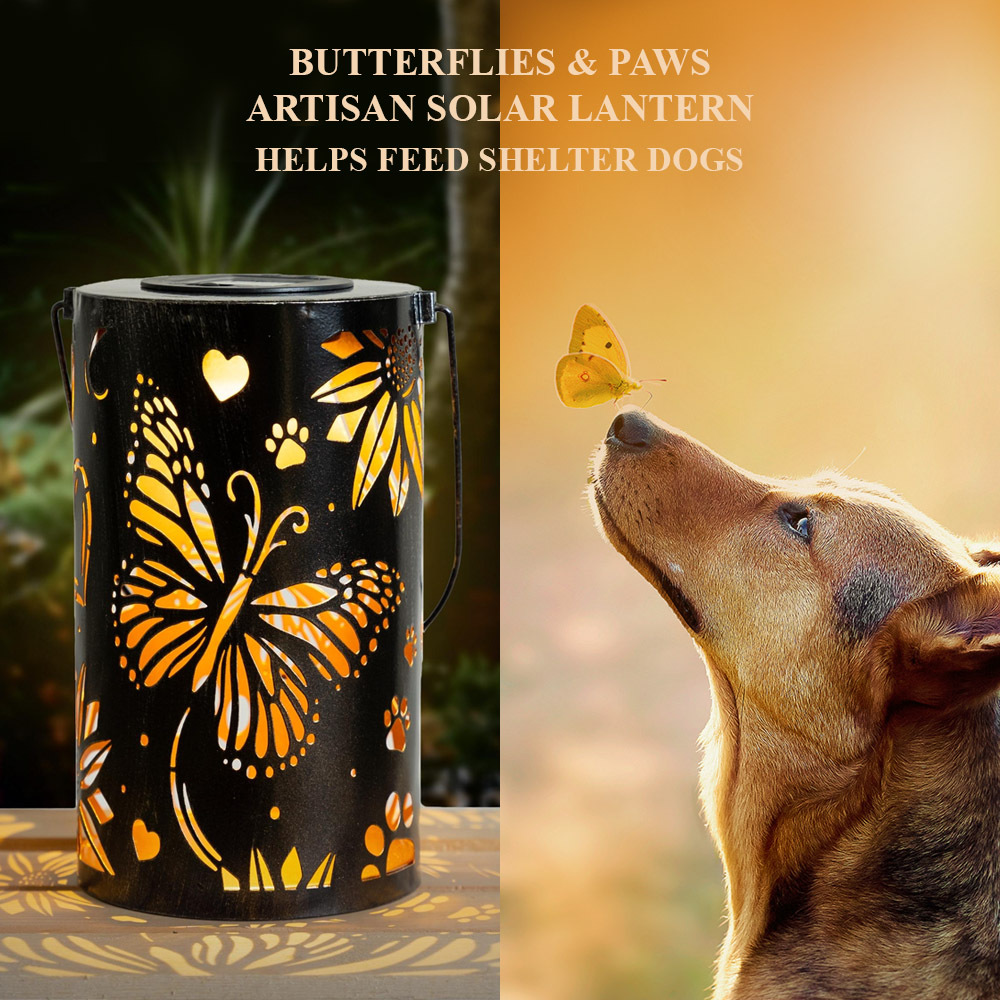 Image of Butterflies &amp; Paws- Artisan Shadow Solar Lantern - Limited Time Offer