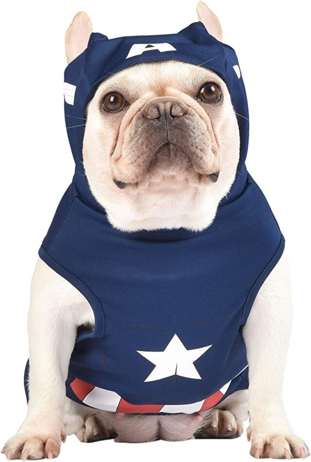 Captain America dog costume