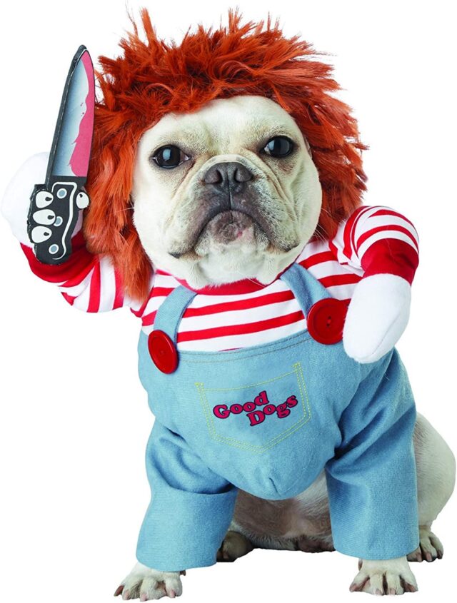 Chucky doll dog costume
