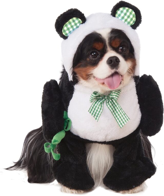 Cute dog panda costume