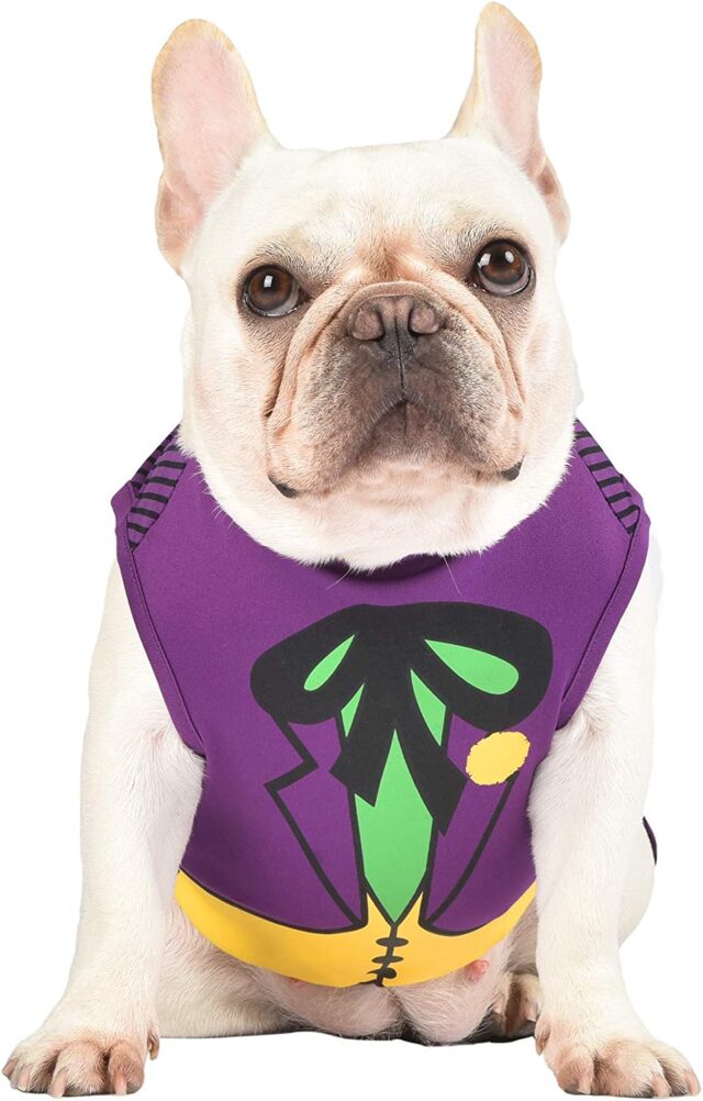 Dog Joker costume