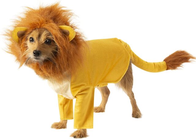 Dog Simba costume