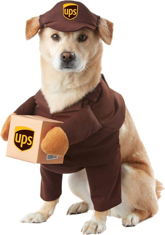 Dog UPS costume