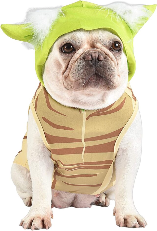 Dog Yoda costume