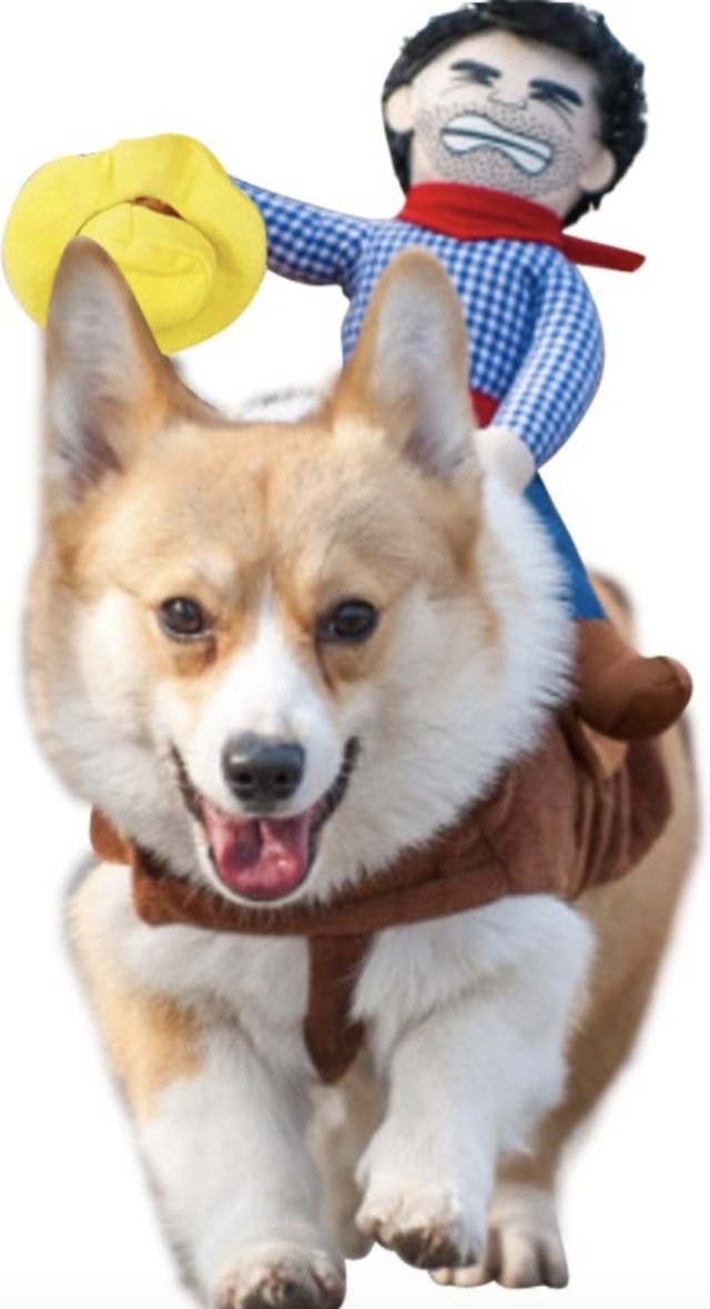 Dog cowboy rider costume
