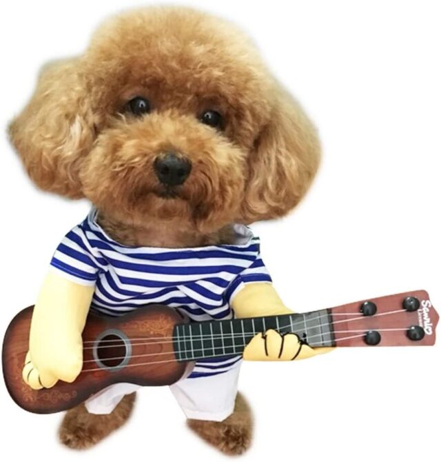 Dog guitar player costume