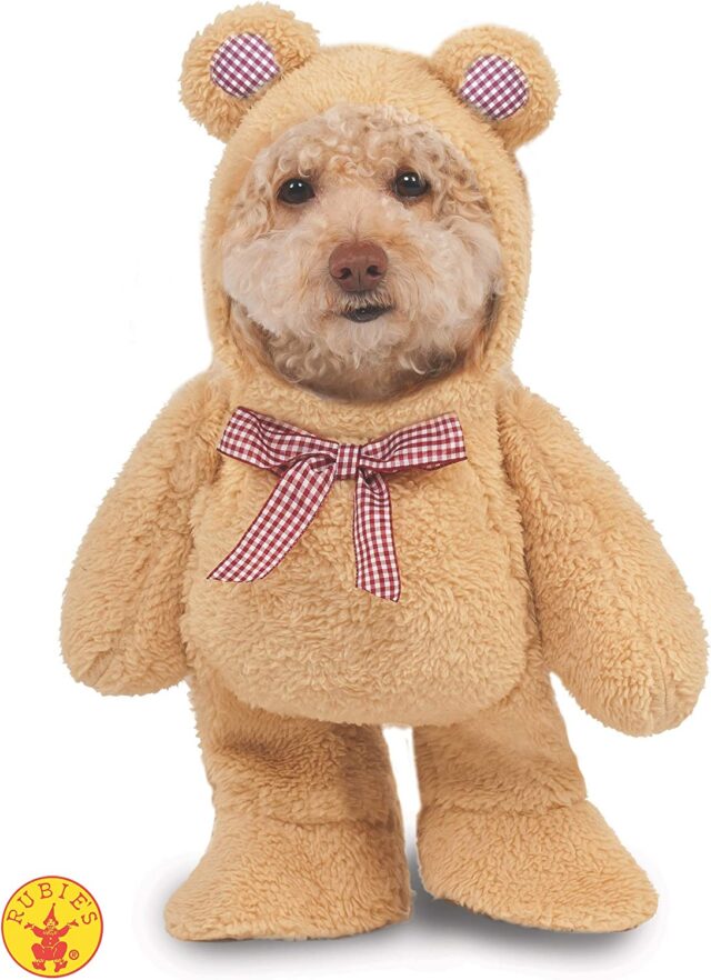 Dog teddy carnivore  suit