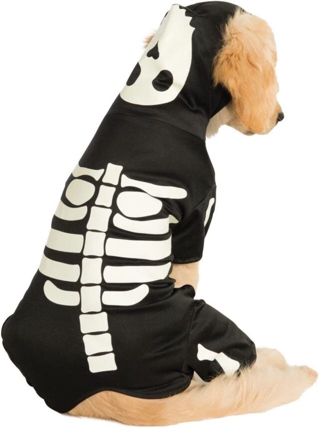 Dog wearing skeleton hoodie