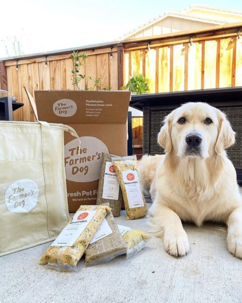 Nom Nom vs Farmer’s Dog Fresh Dog Food Comparison Pup Breeds