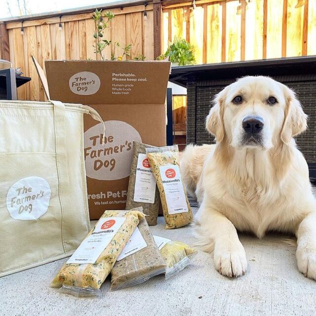 Dog with Farmer's Dog bags