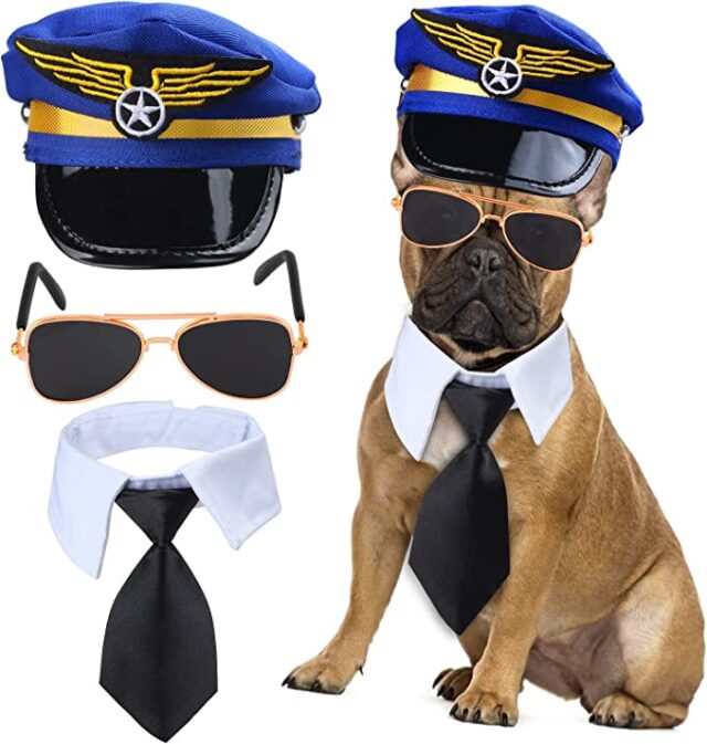 Fighter pilot dog costume