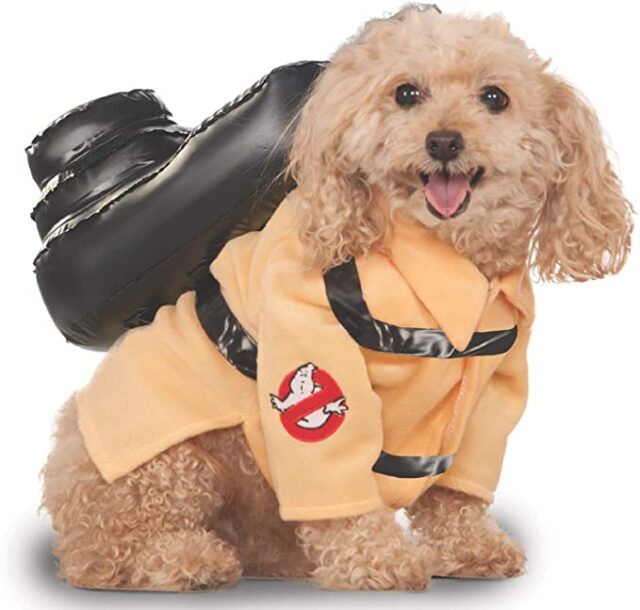 Ghostbusters dog costume