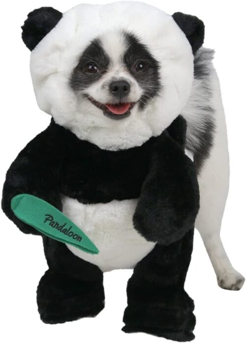 40 Best Dog Halloween Costumes In 2024   Panda Puppy Costume E1665674494622 500x695 