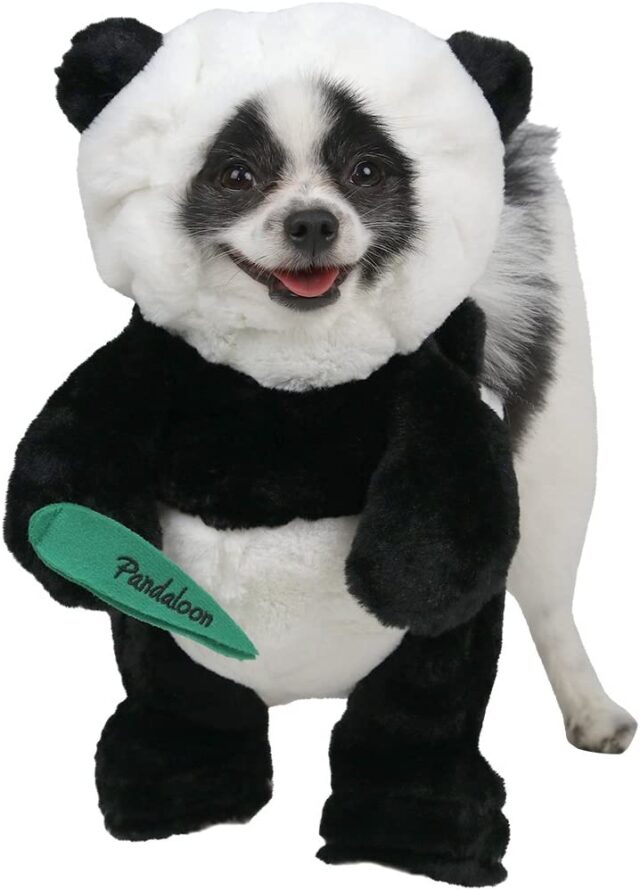 Panda puppy costume