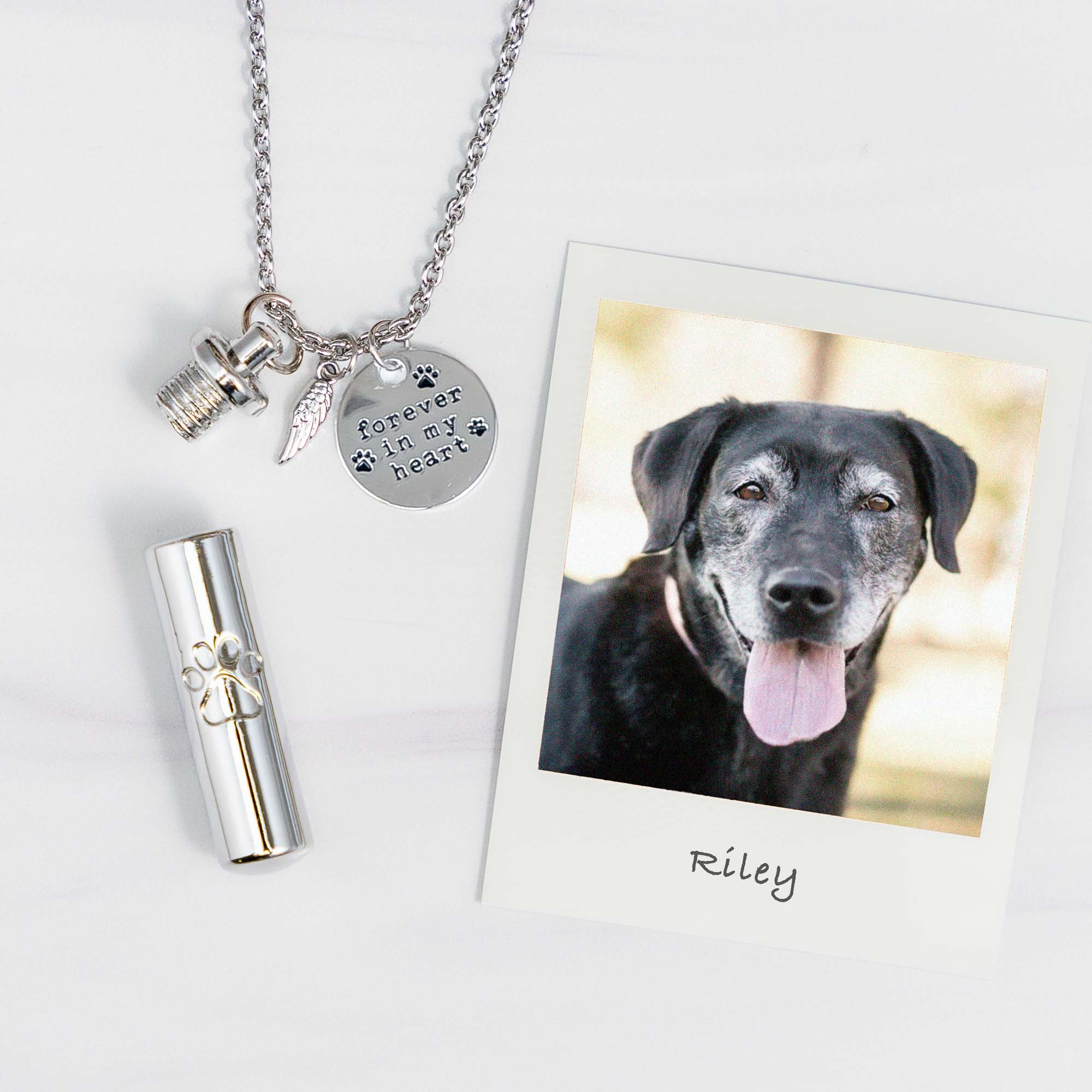Rhodesian Ridgeback gemstone key chain - dog keychain - bag charm - pet  keepsake - ridgeback jewelry - jewellery