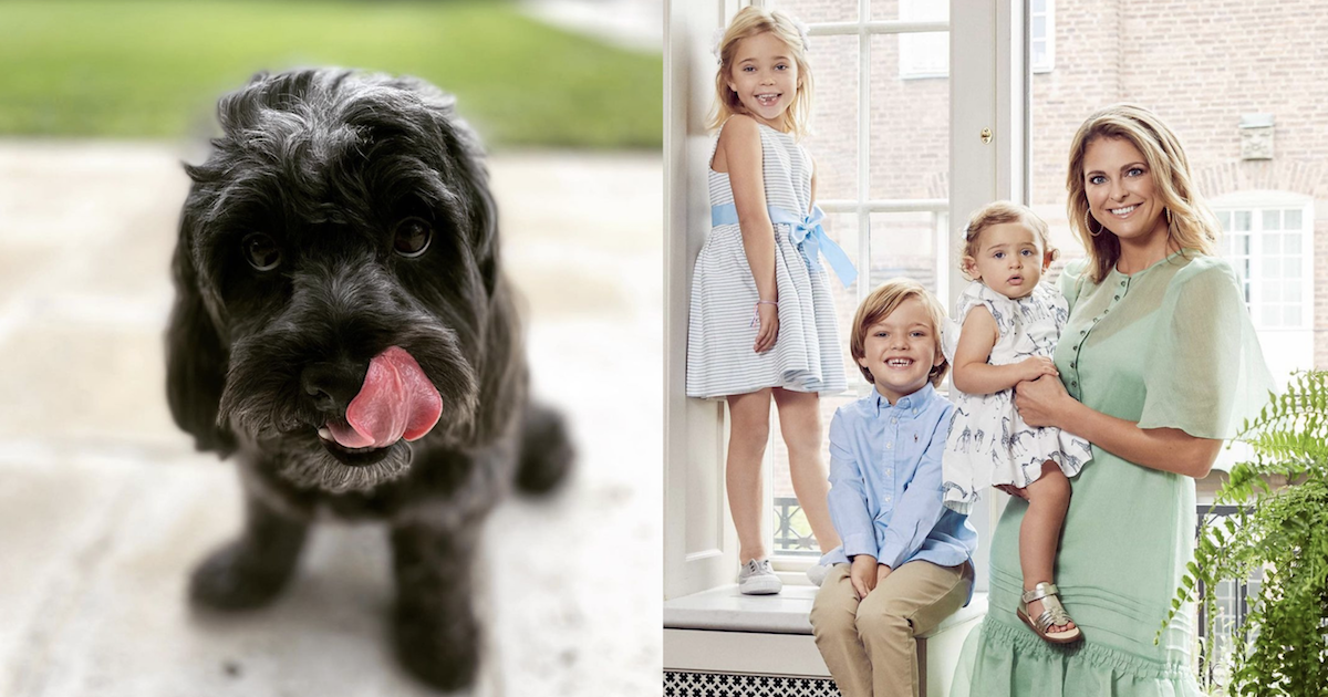 Princess Madeleine adopts dog
