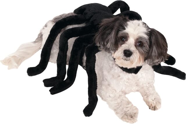 Spider harness costume