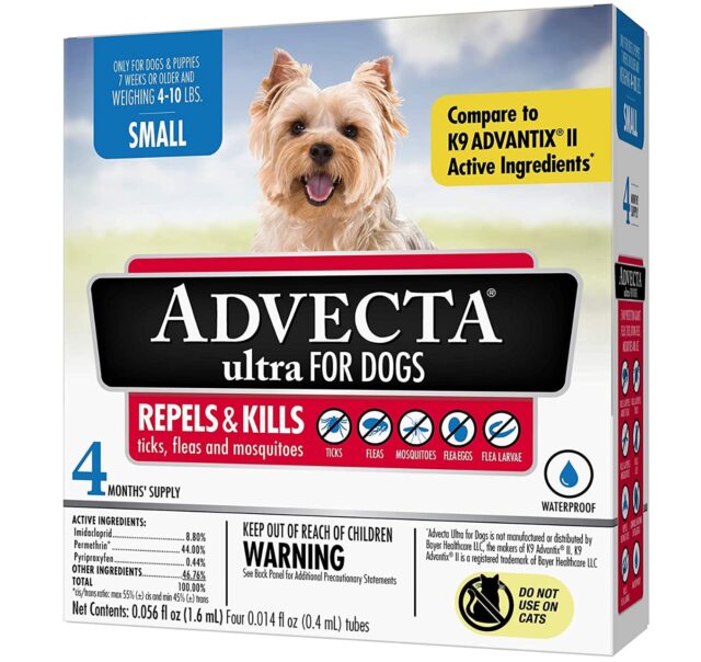 best flea and tick supplements for dogs