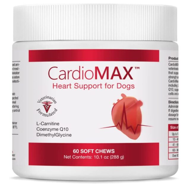 best heart supplement for dogs