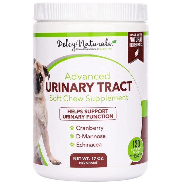 best urinary supplements for dogs