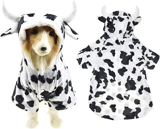 Dog cattle  costume